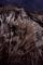 鷲羽岳のサムネイル画像